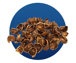 Finessa Cascara Sagrada