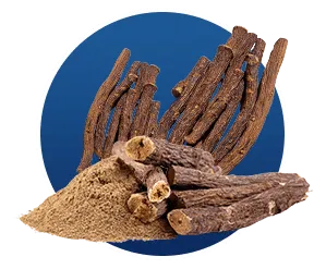 Finessa Licorice Extract