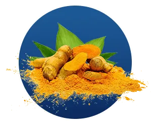Finessa Turmeric